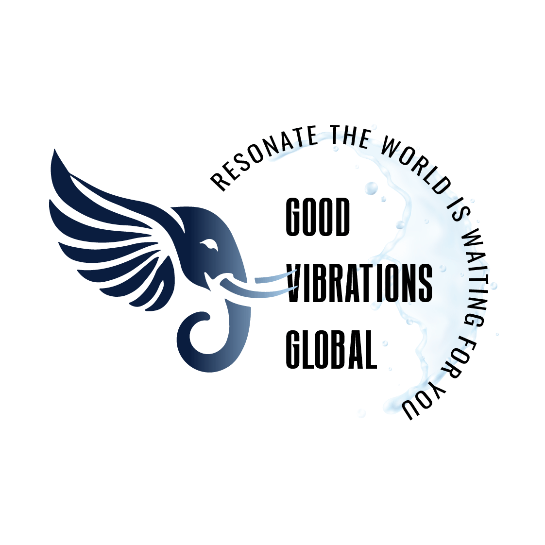 Purpose-Driven Business Consultant | Success Education Specialist 2 Good Vibrations Global - Custom Logo